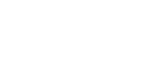 VIRGINIA DS 1